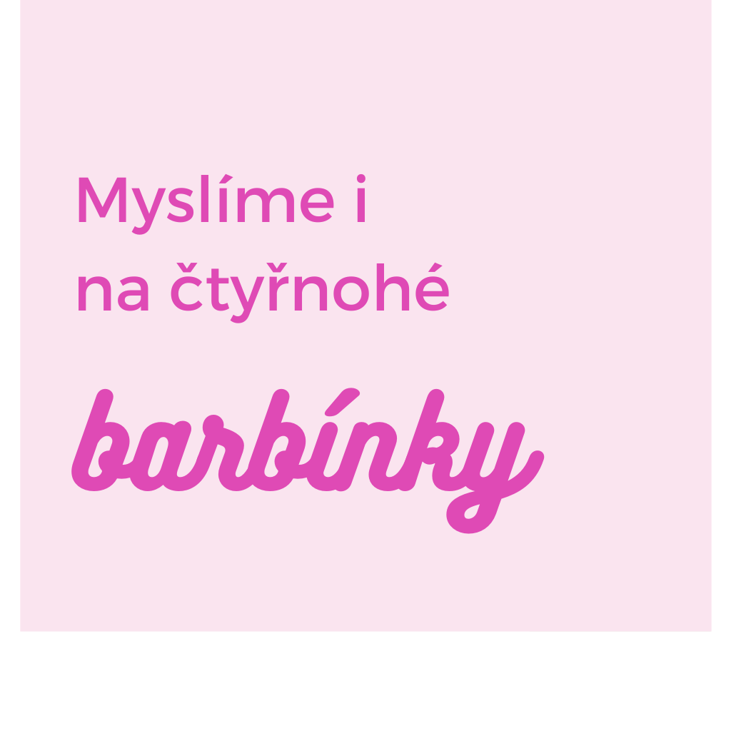Barbie V